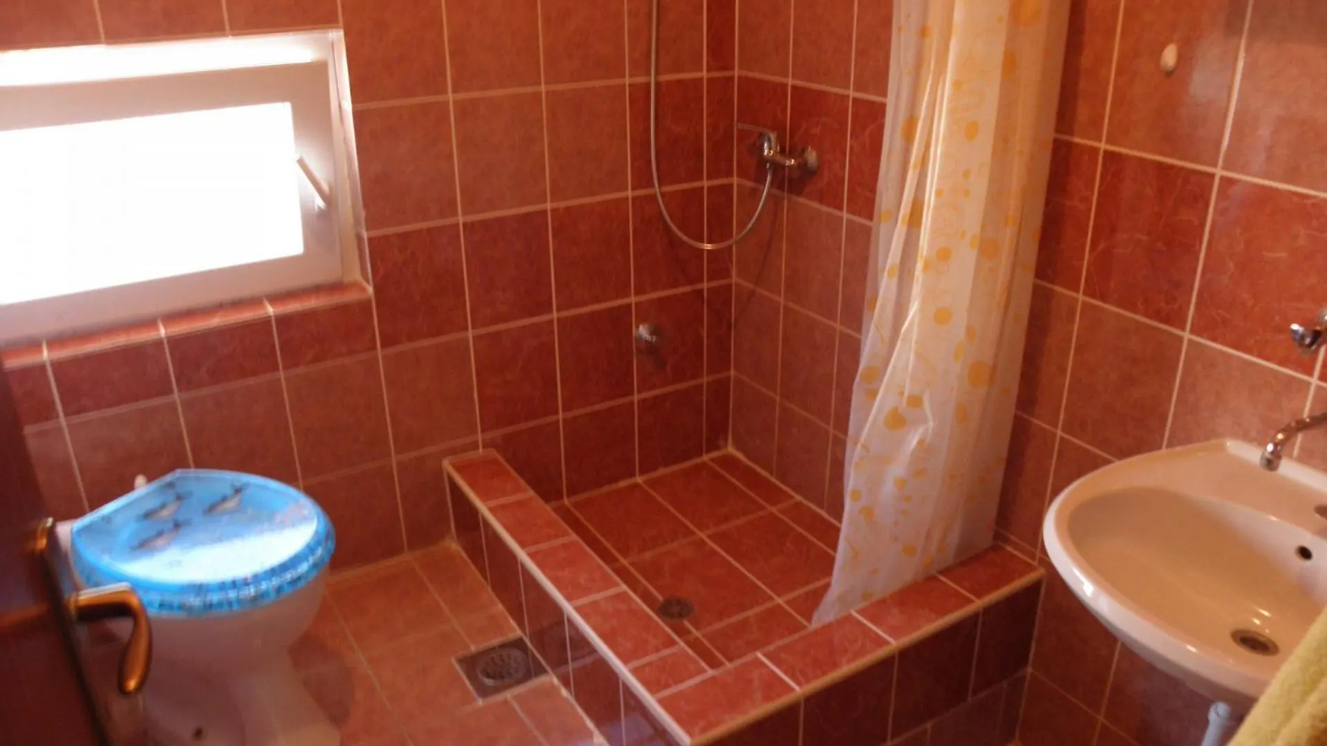 Apartment Zdrave Vlasici